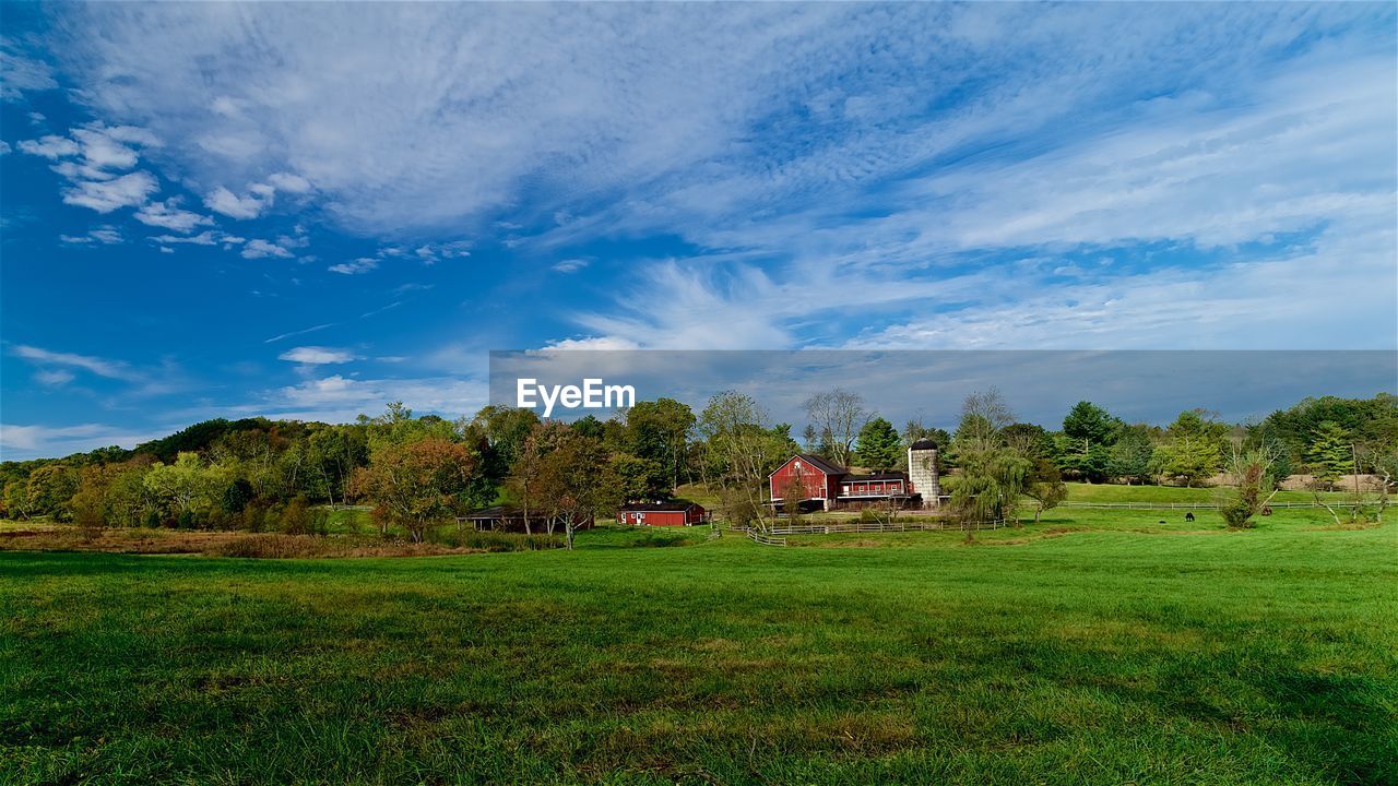 Trees on field against sky