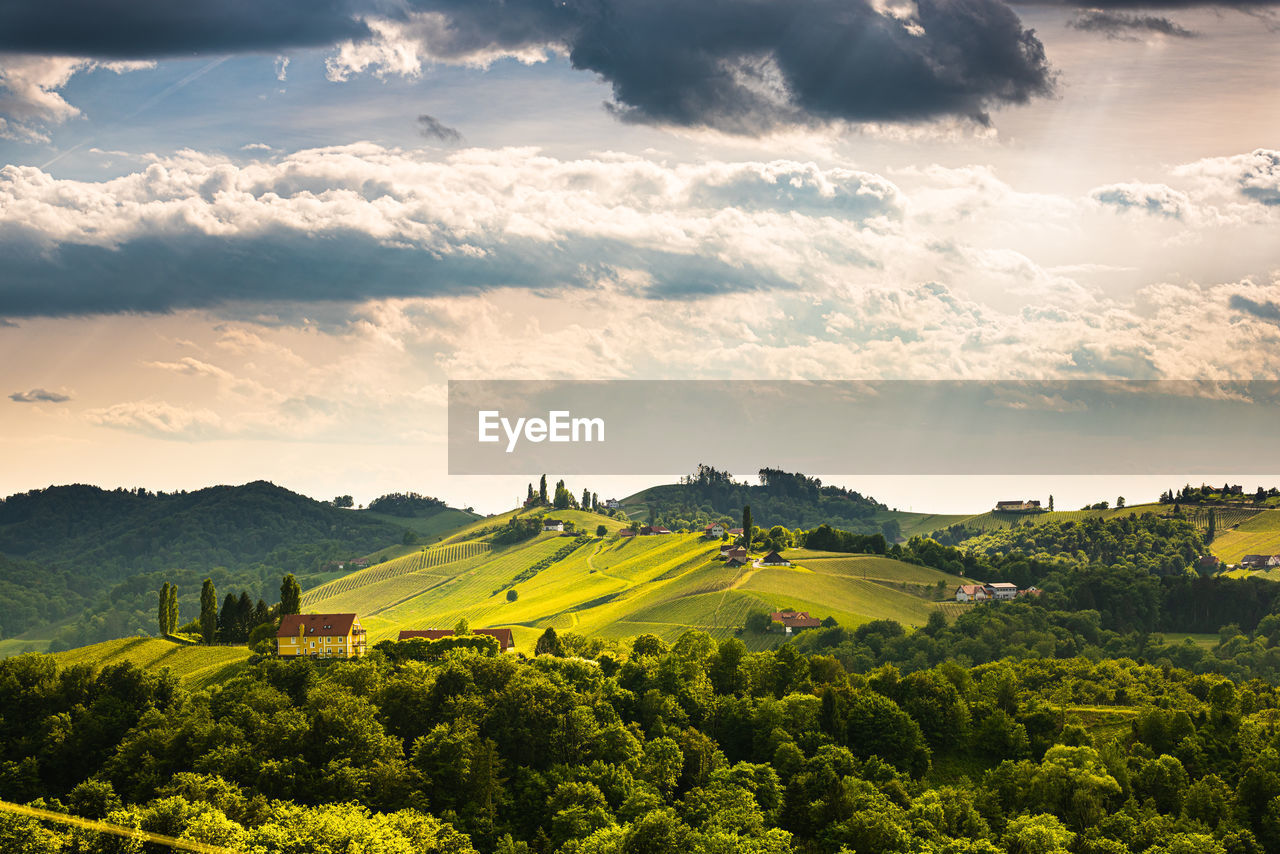 SCENIC VIEW OF RURAL LANDSCAPE