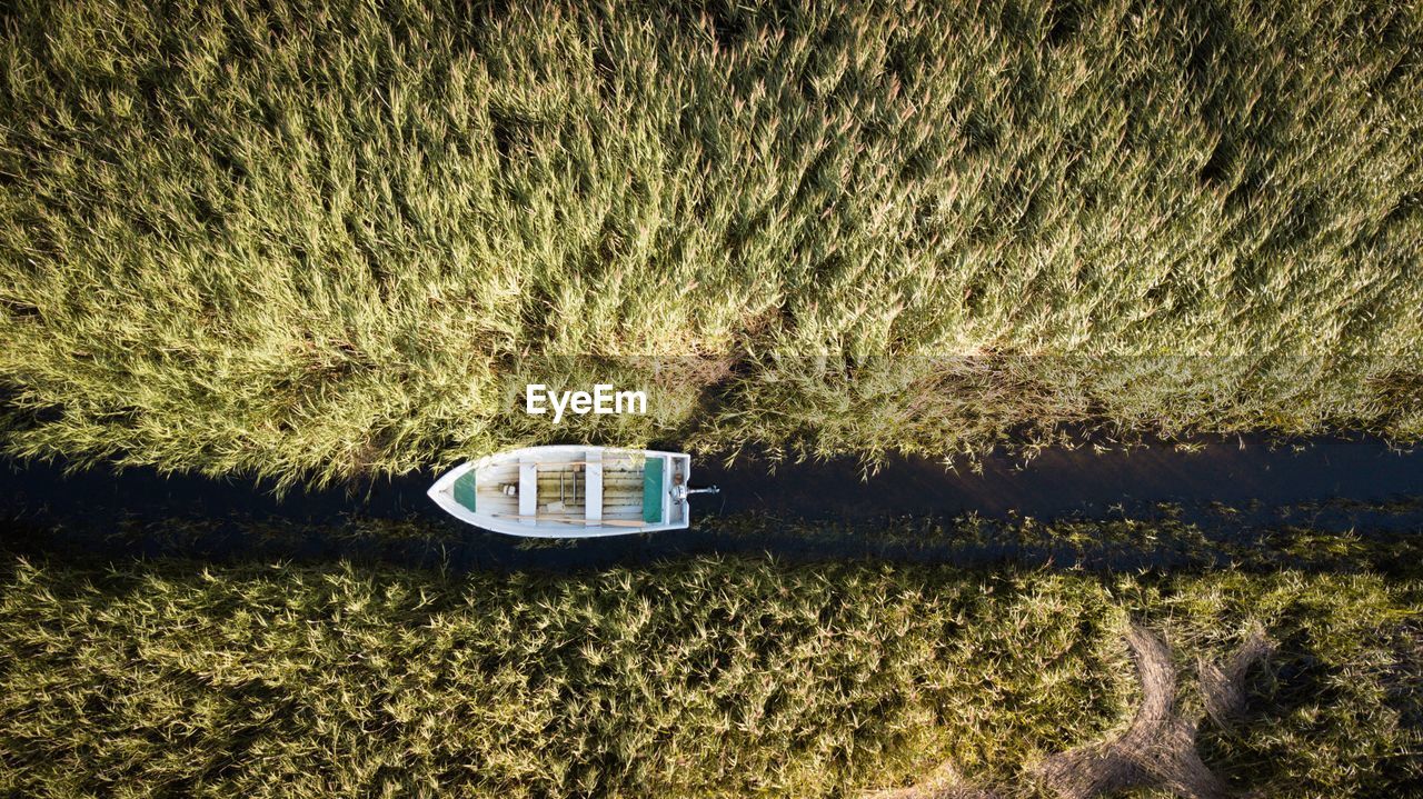 Directly above shot of boat on grass