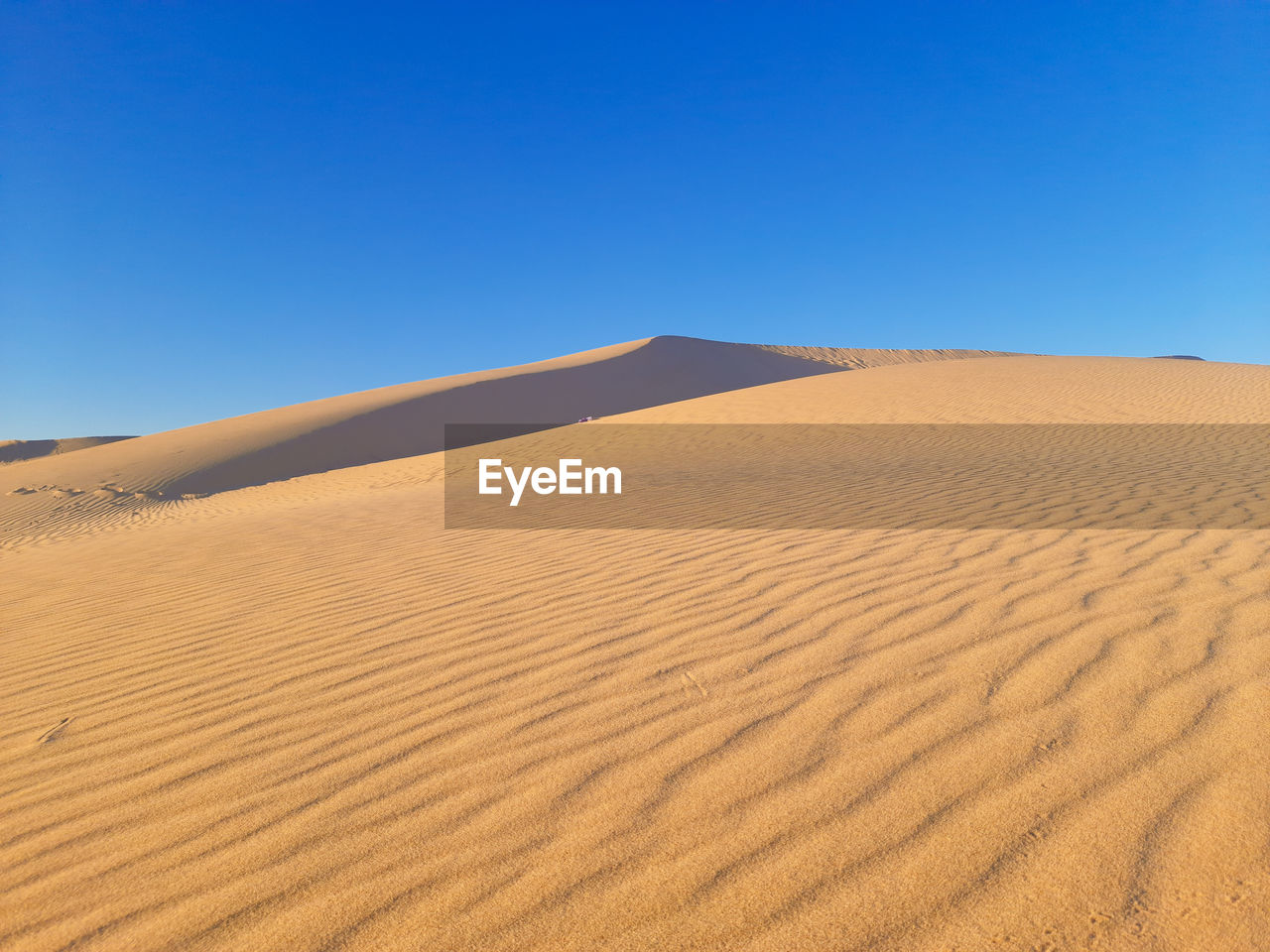 SCENIC VIEW OF SAND DUNES AGAINST CLEAR SKY