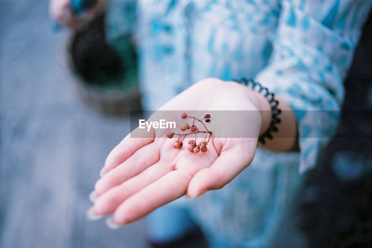 Midsection of woman holding dried plant