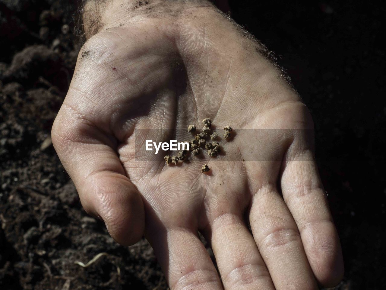 CLOSE-UP OF HUMAN HAND HOLDING SMALL RING