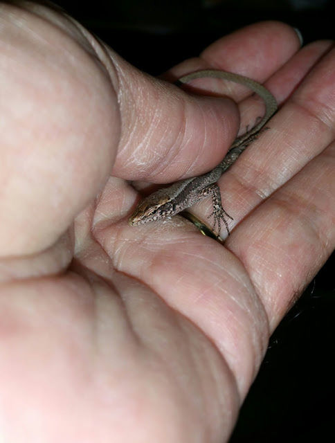 CLOSE-UP OF CROPPED HANDS