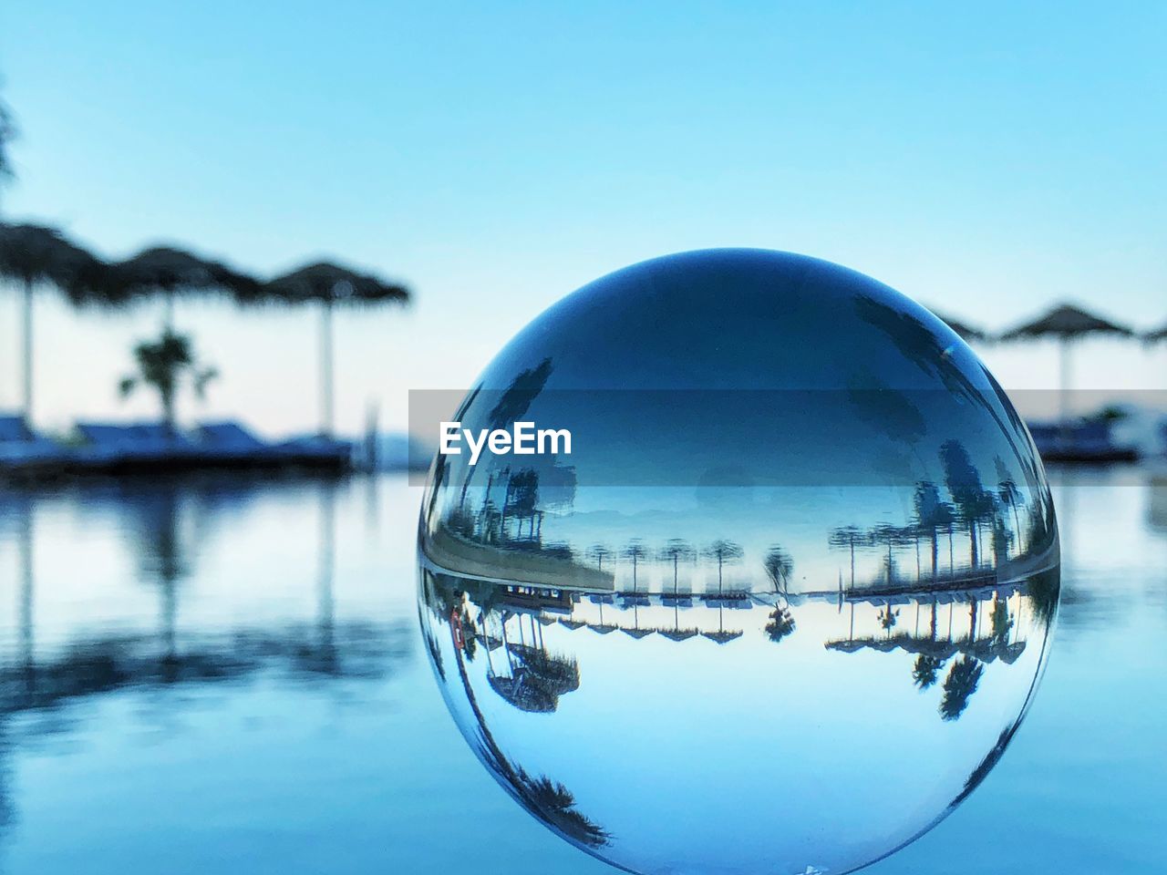 Swimming pool with palms over a horizon mirrored in a glass ball