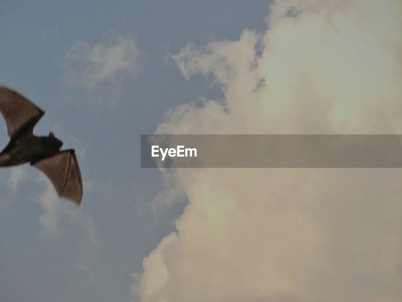 LOW ANGLE VIEW OF SKY IN SUNLIGHT