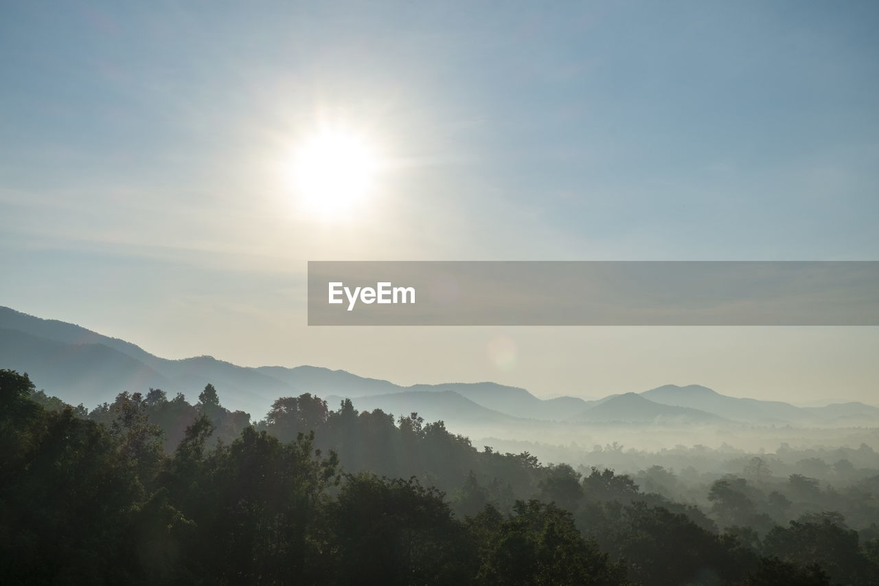 SCENIC VIEW OF TREE MOUNTAINS AGAINST SKY