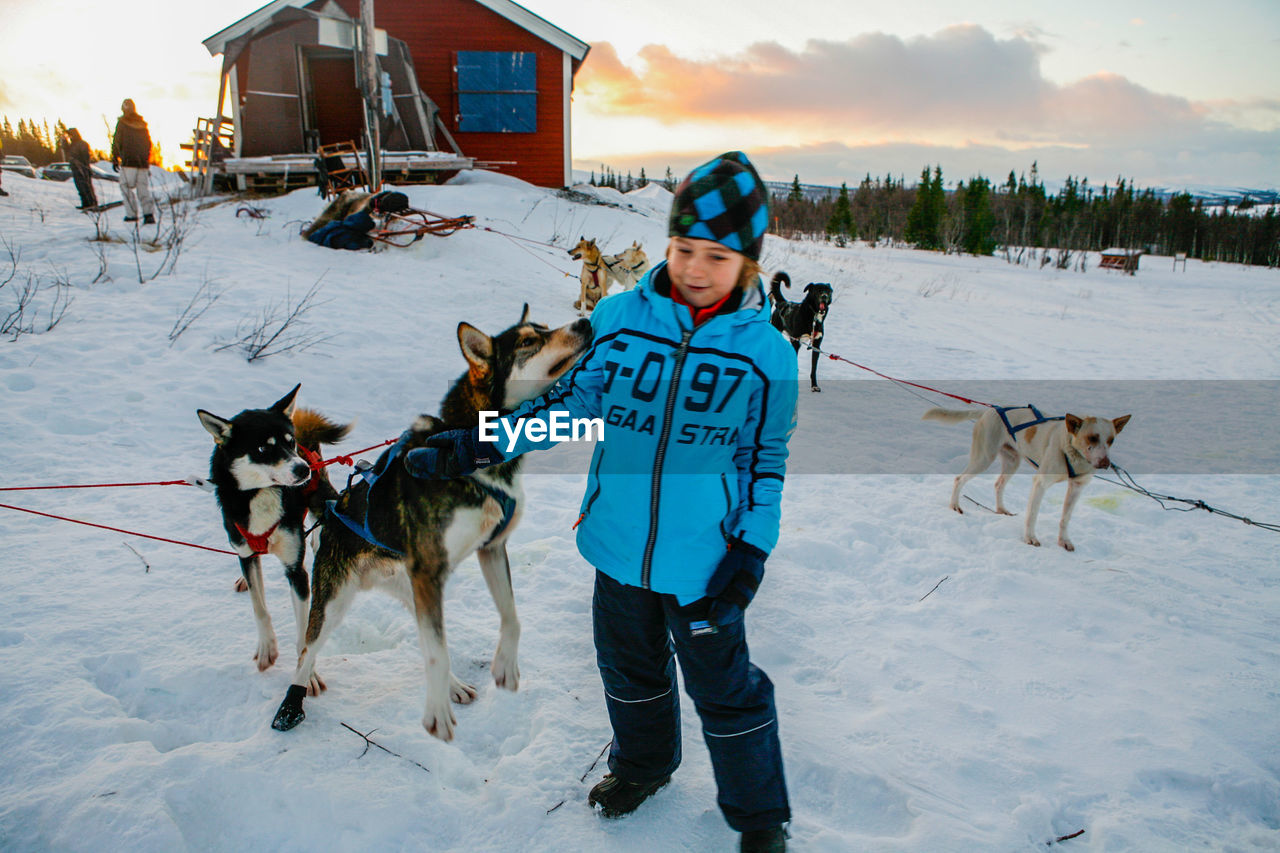 Full length of smiling boy stroking sled dog during winter