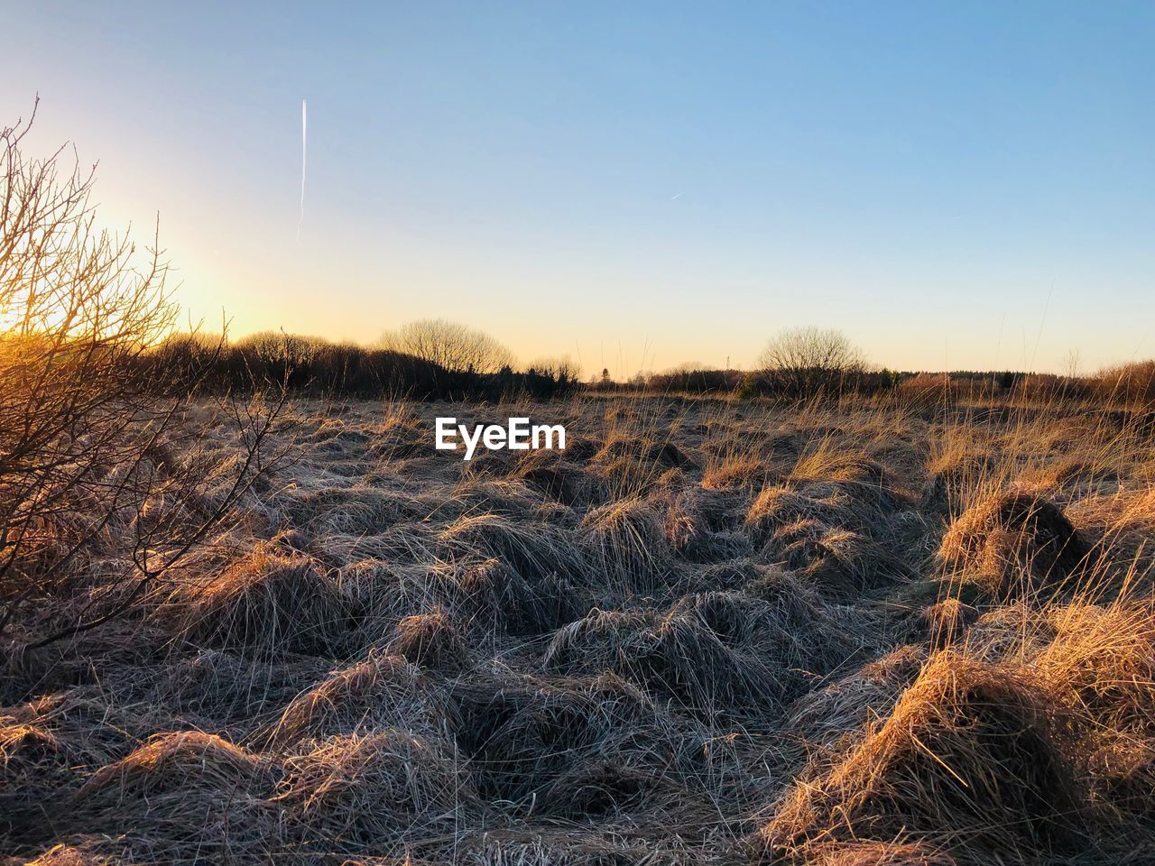 SCENIC VIEW OF FIELD AGAINST SKY DURING SUNSET