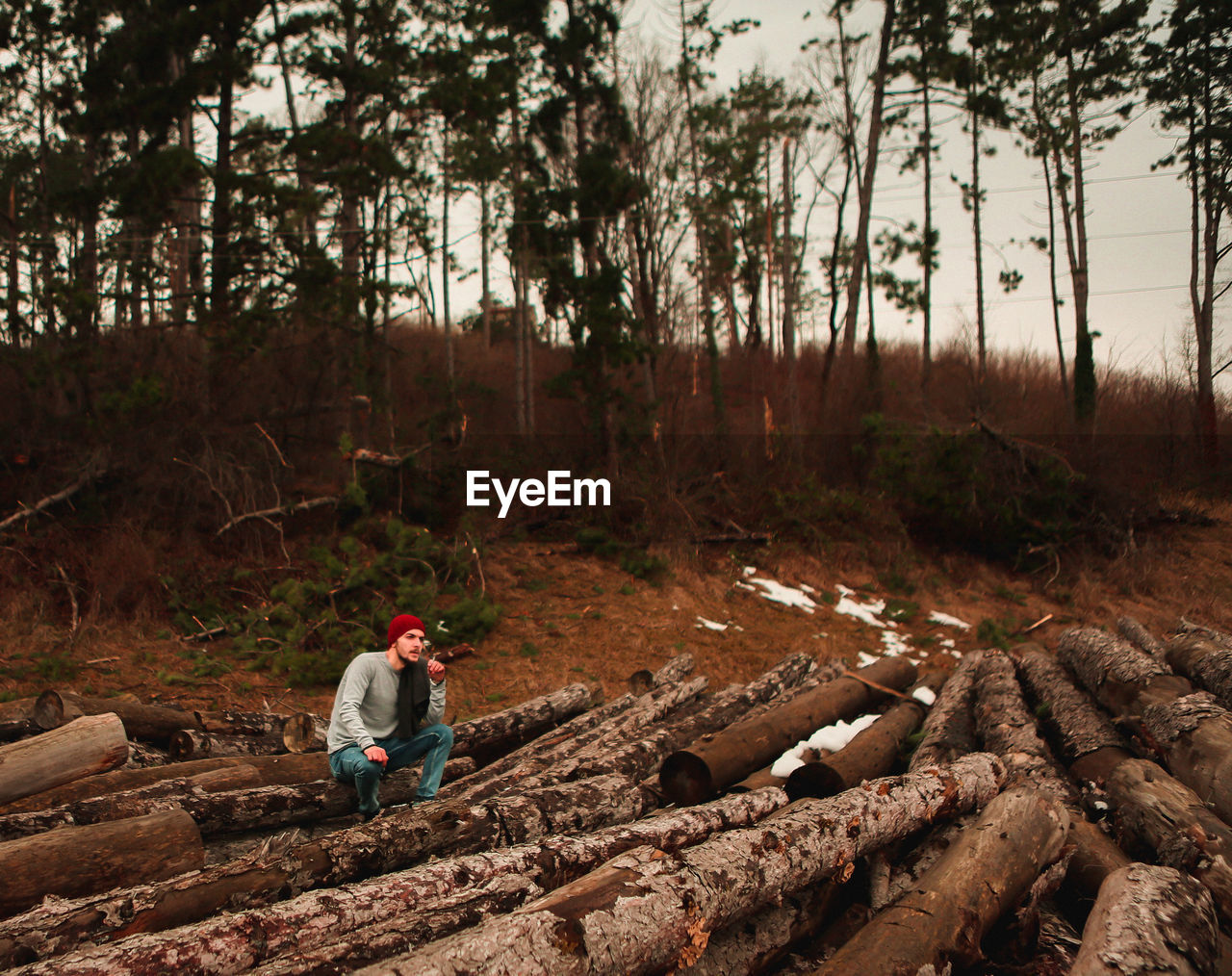 Man sitting on log in forest