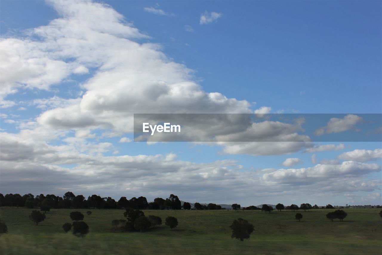 SCENIC VIEW OF GREEN FIELD AGAINST SKY