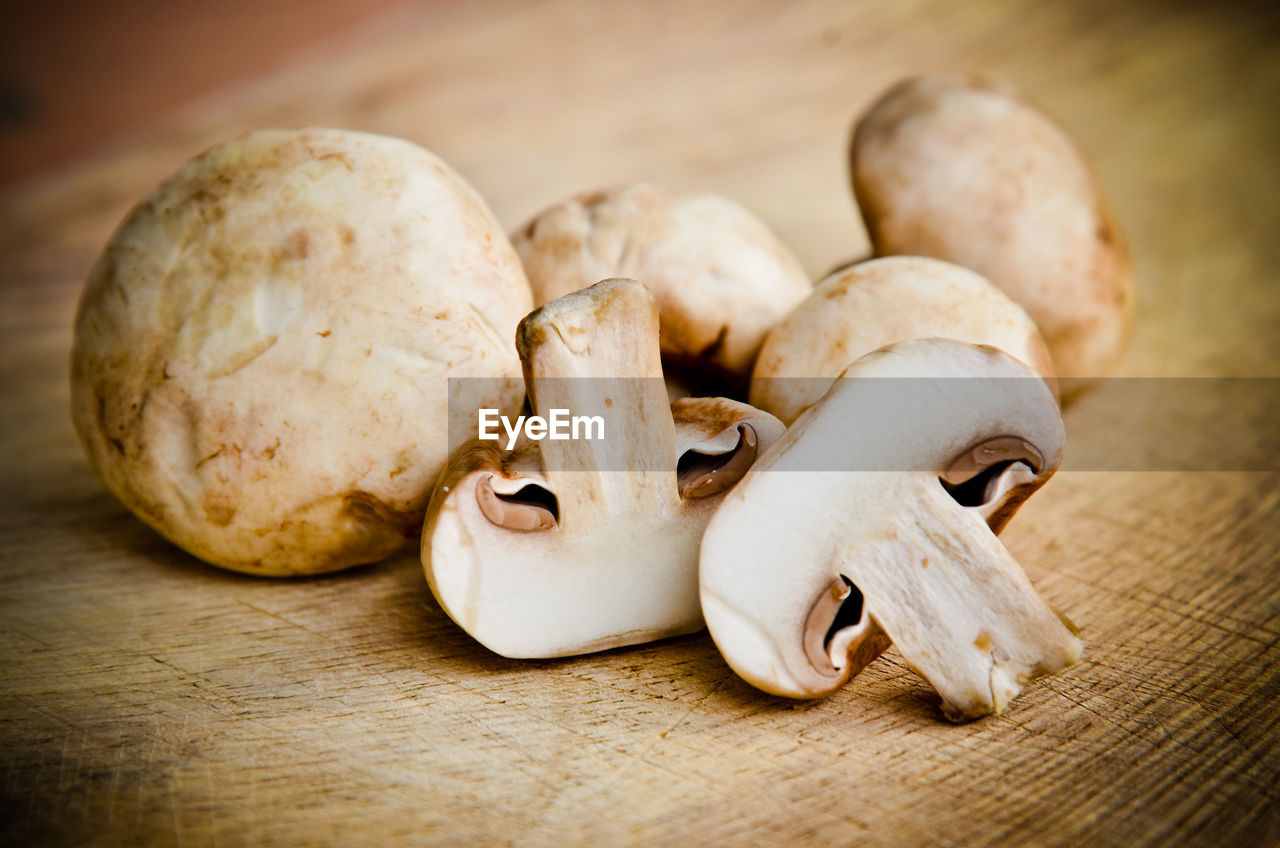 CLOSE-UP OF MUSHROOMS