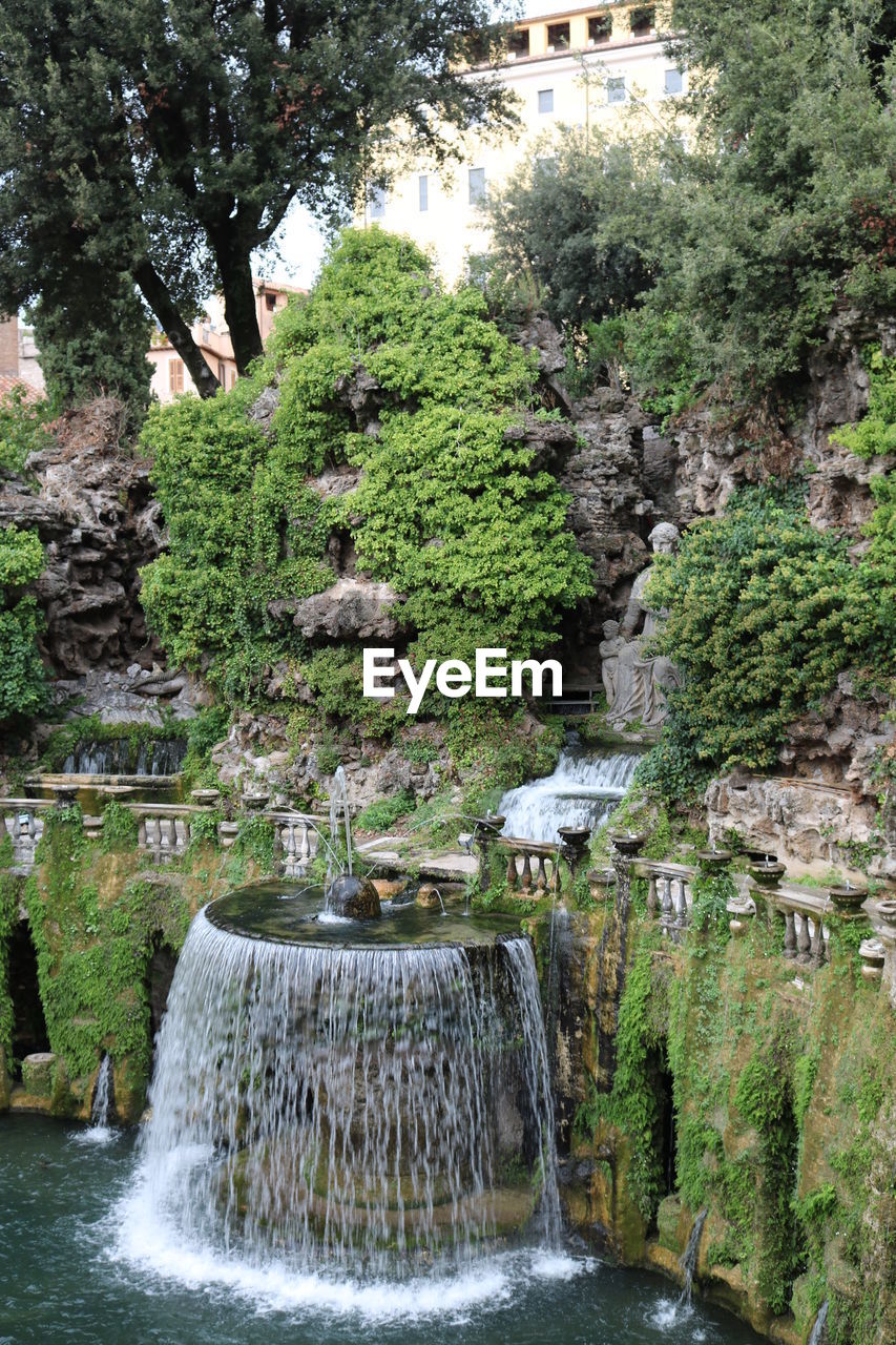 WATER FLOWING THROUGH ROCKS AMIDST PLANTS