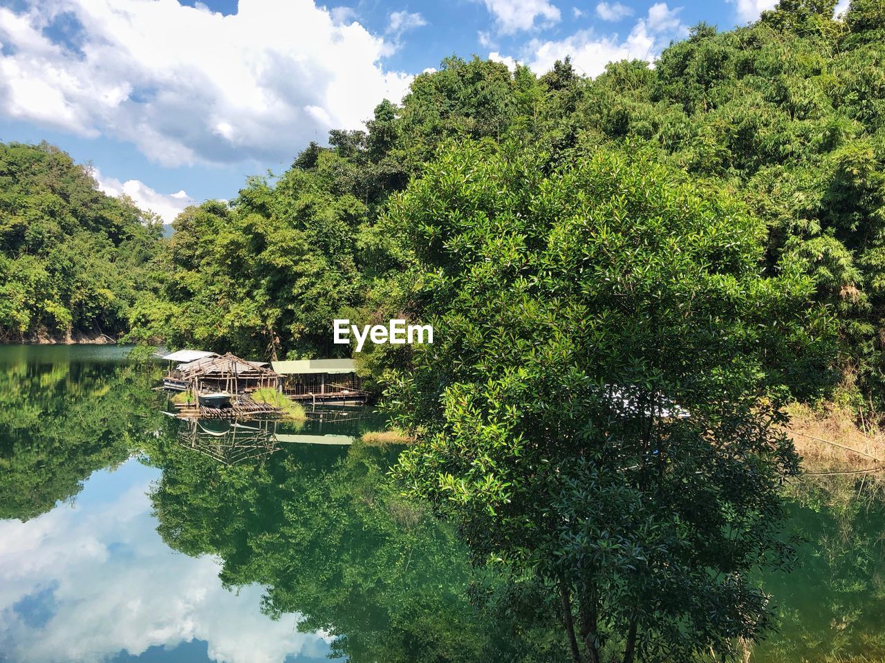 SCENIC VIEW OF RIVER BY TREES AGAINST SKY