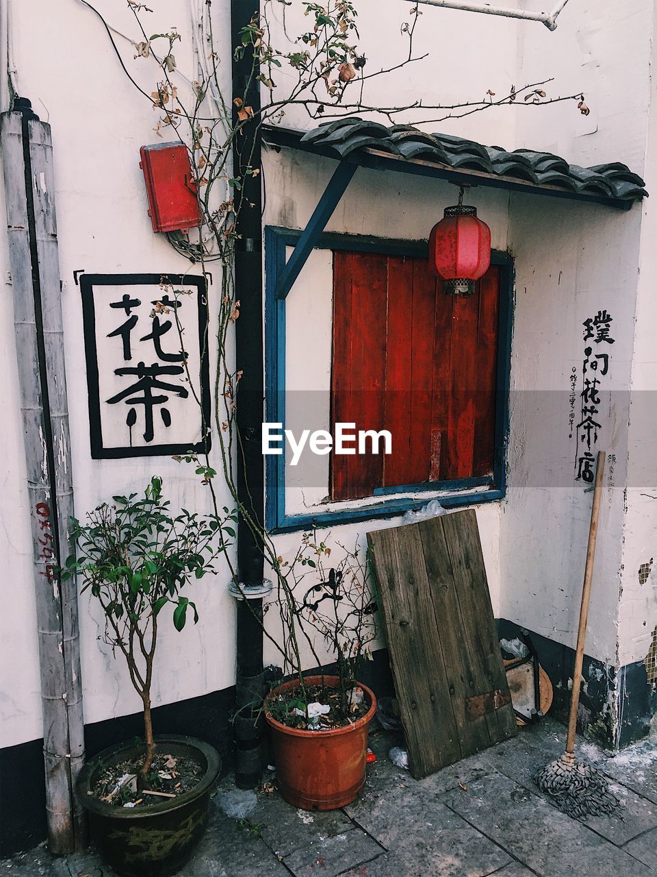 POTTED PLANTS ON BUILDING