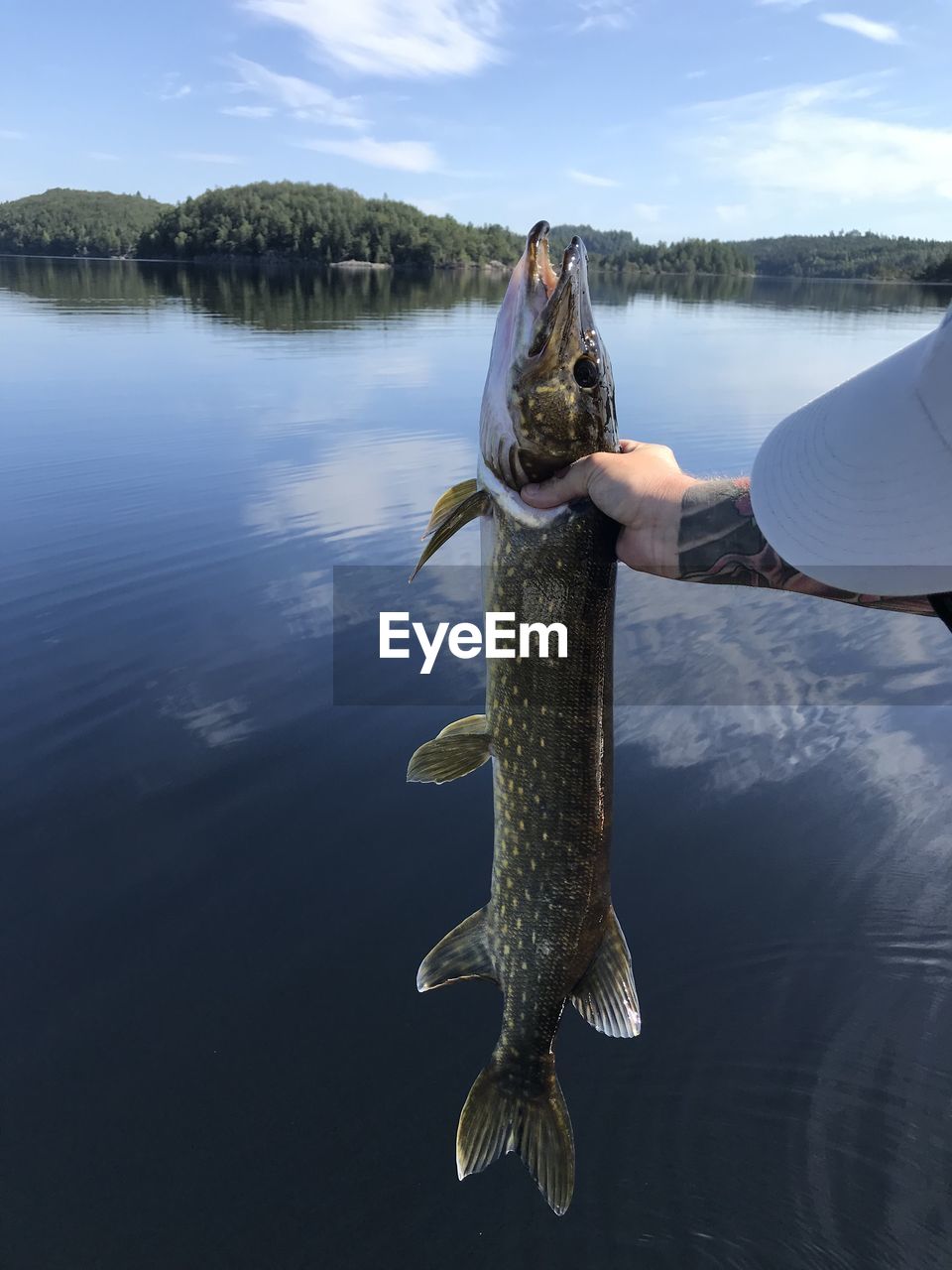 Man holding fish in lake