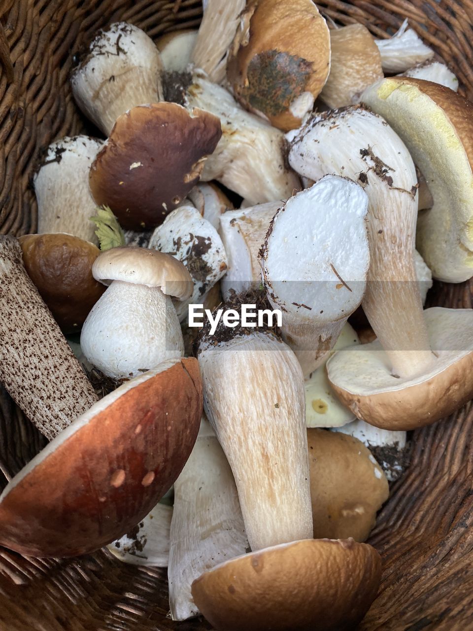 HIGH ANGLE VIEW OF MUSHROOMS IN WICKER BASKET