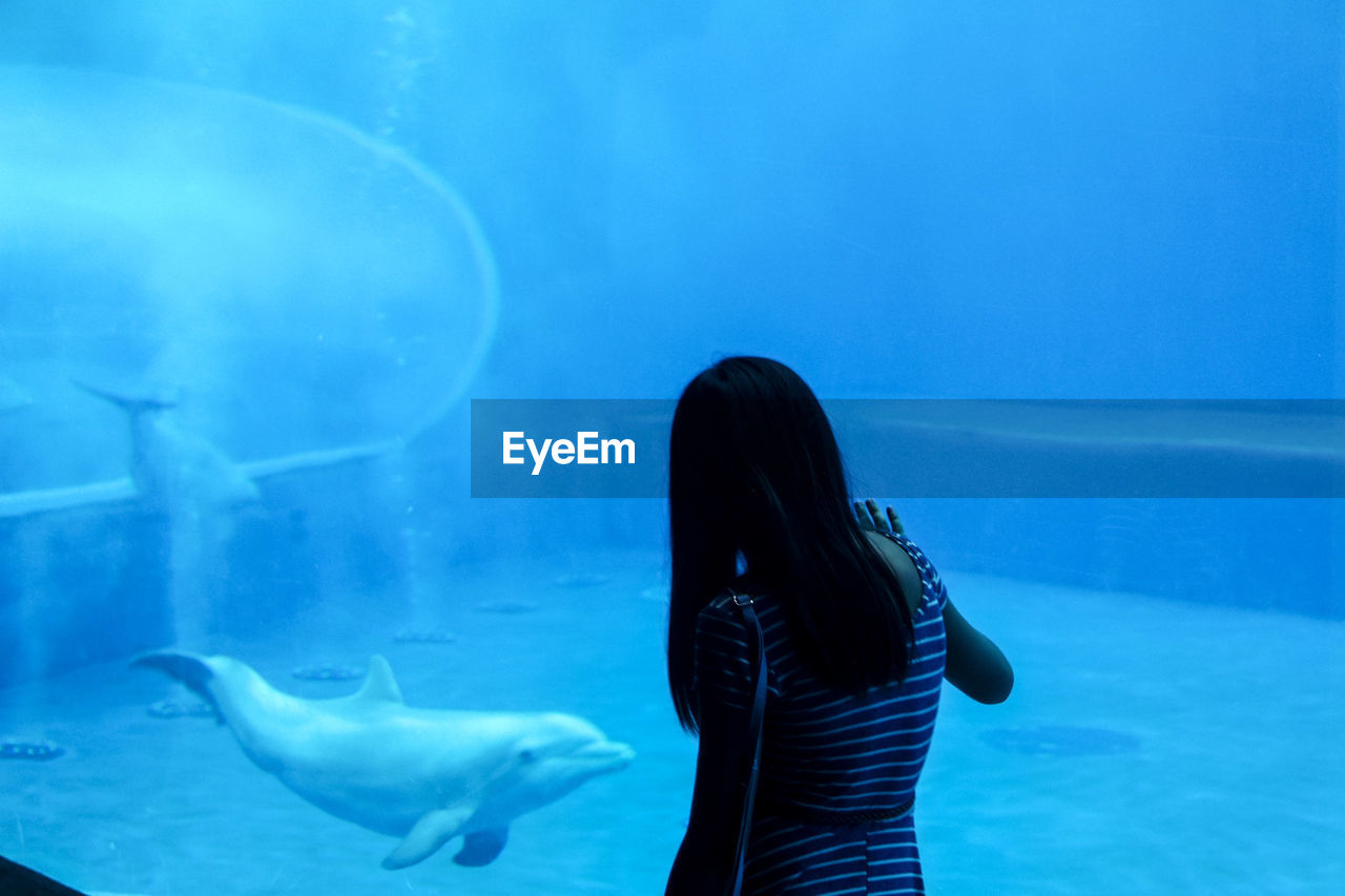 REAR VIEW OF MAN SWIMMING UNDERWATER