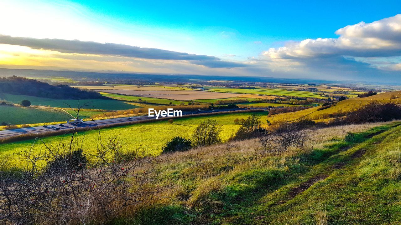 Scenic view of field against sky