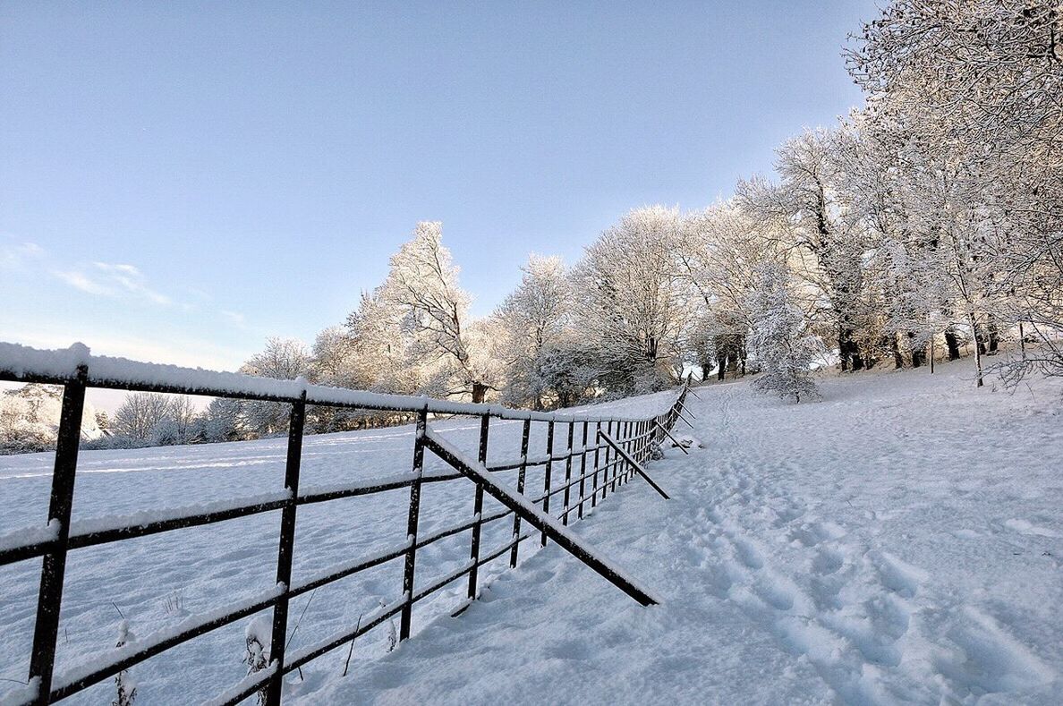 Railing on snow covered field by frozen trees against clear sky