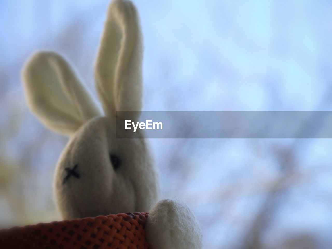 Close-up of bunny toy outdoors