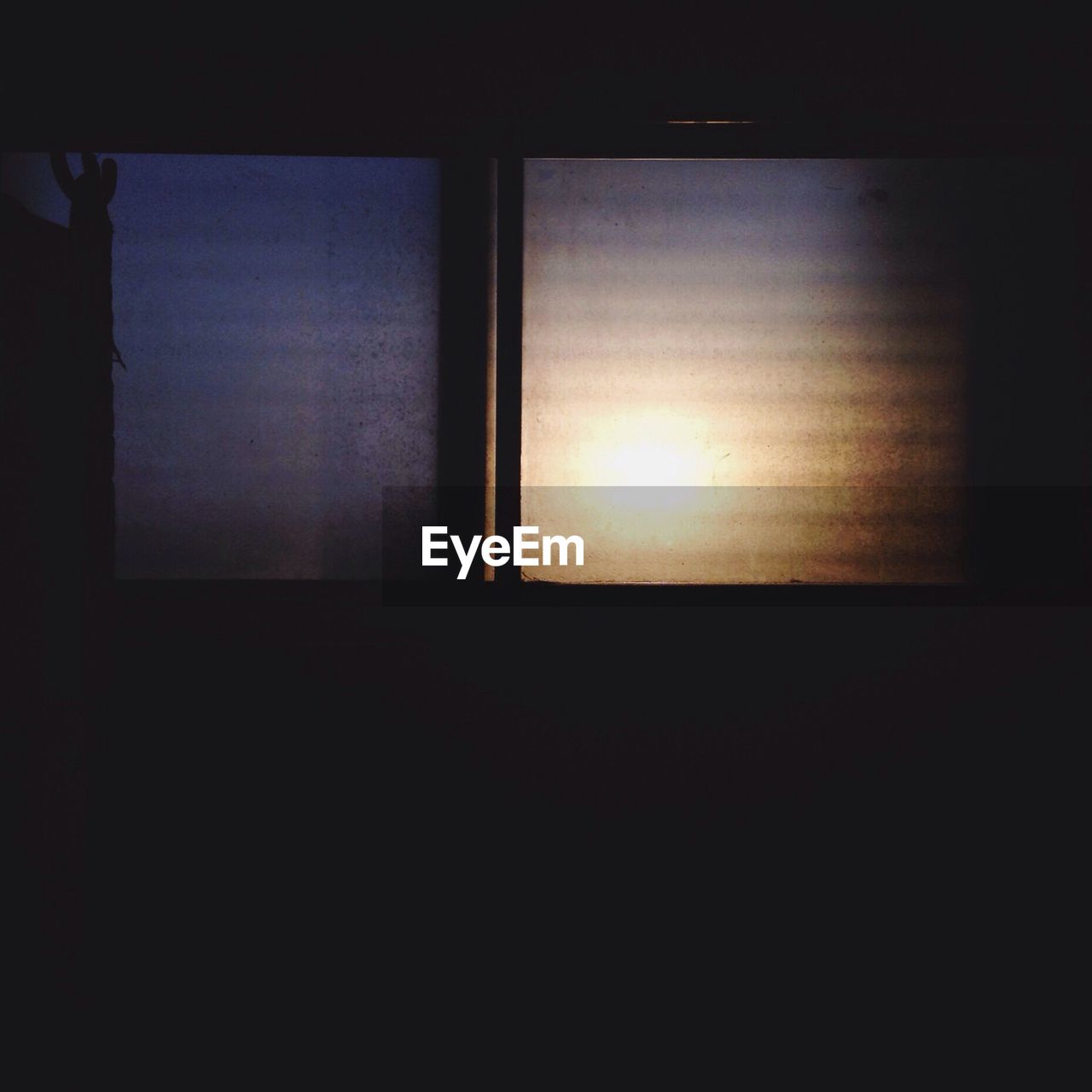 VIEW OF THE DARK