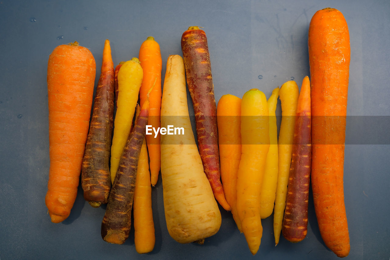 carrot, food, food and drink, root vegetable, healthy eating, vegetable, freshness, orange color, produce, wellbeing, yellow, baby carrot, no people, studio shot, indoors, group of objects, high angle view, still life, directly above, orange, organic, medium group of objects, close-up, variation, raw food