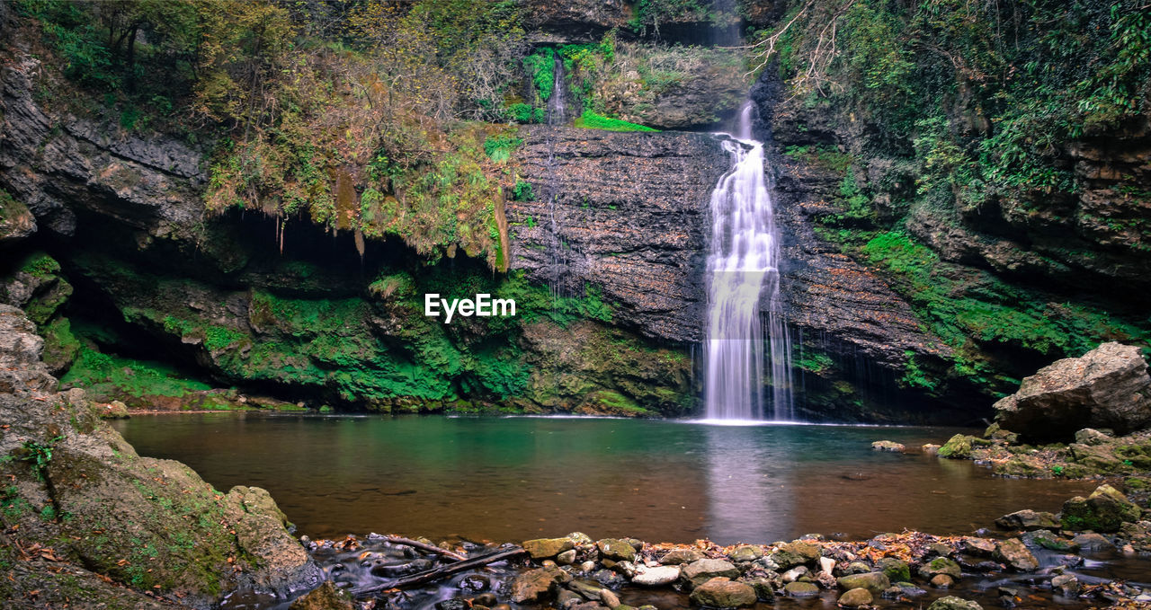 WATERFALL IN FOREST