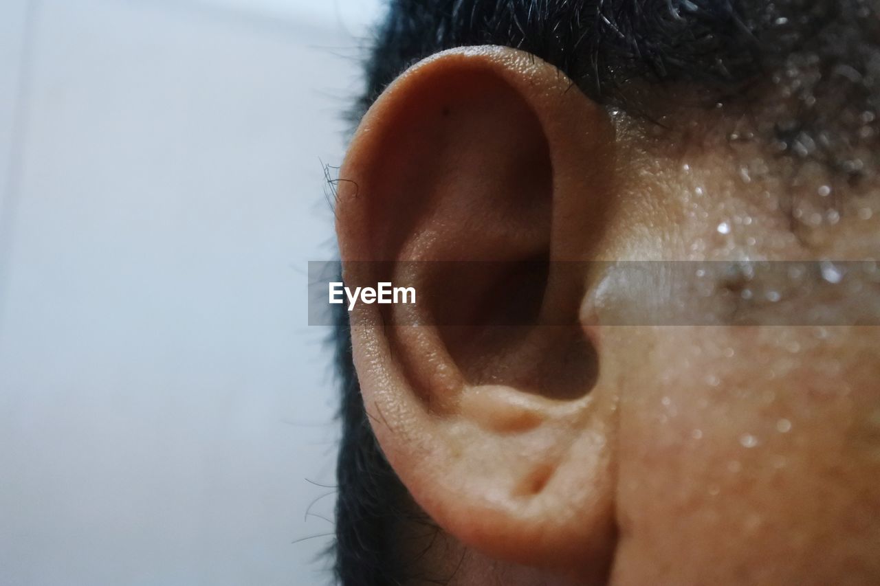 Close-up of human ear