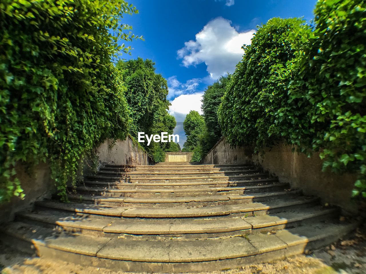 LOW ANGLE VIEW OF EMPTY STAIRCASE AMIDST TREES AGAINST SKY