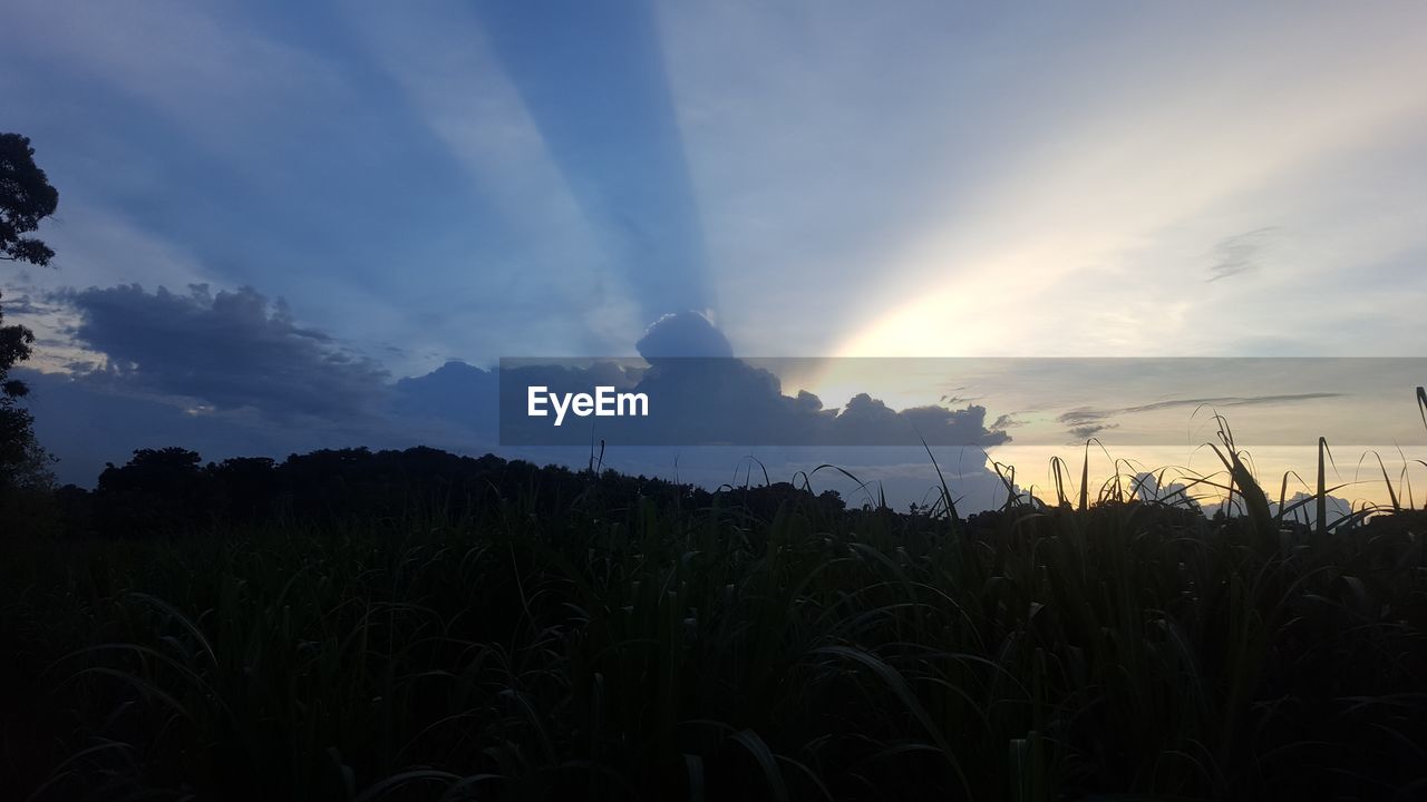 SCENIC VIEW OF FARM AGAINST SKY DURING SUNSET