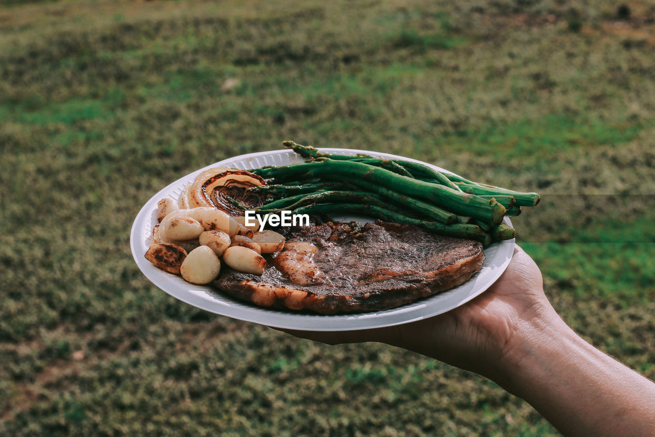 CROPPED IMAGE OF HAND HOLDING BOWL OF GREEN VEGETABLE