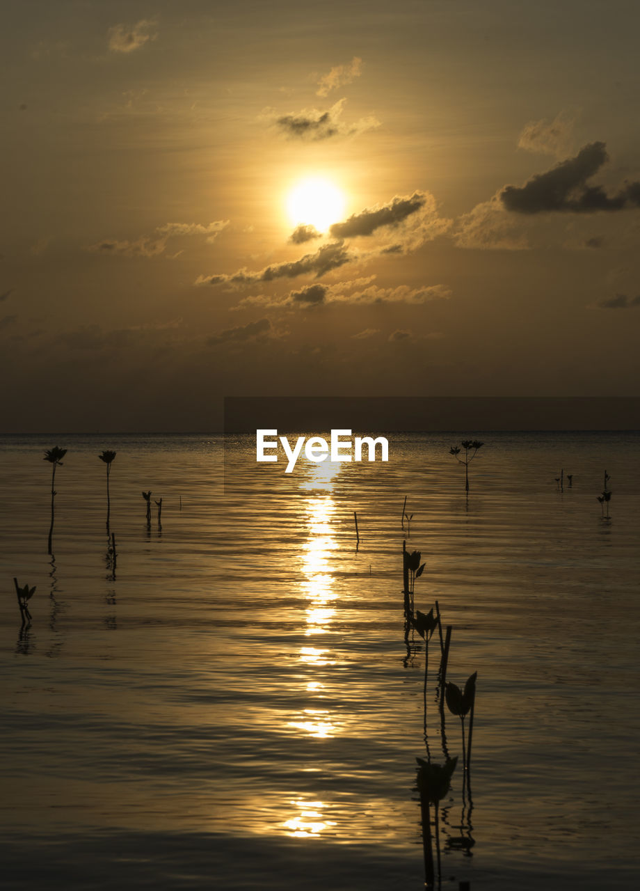 Scenic view of lake against sky during sunset