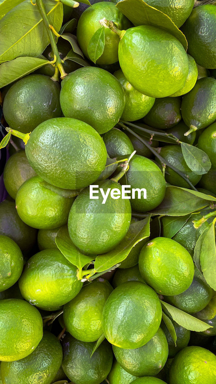 Fresh green lemons, neatly arranged on the counter in the store. lemons close-up, background. 