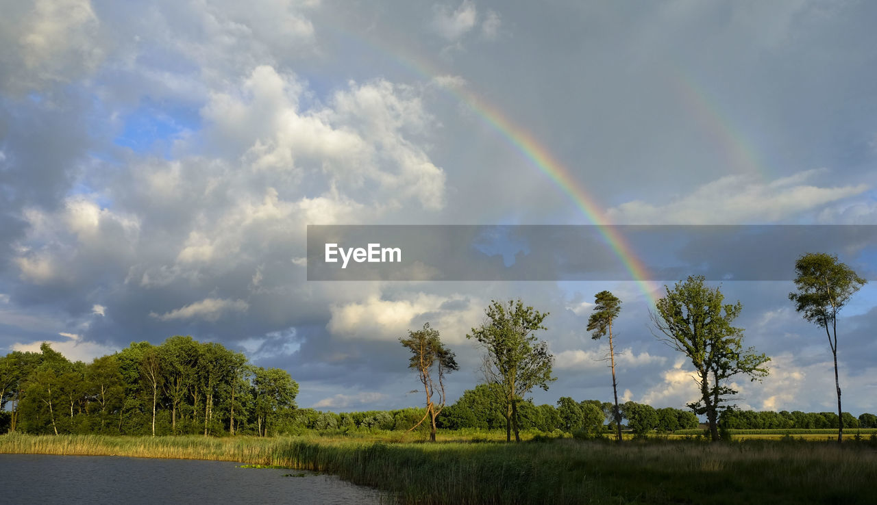 Scenic view of rainbow over field against sky