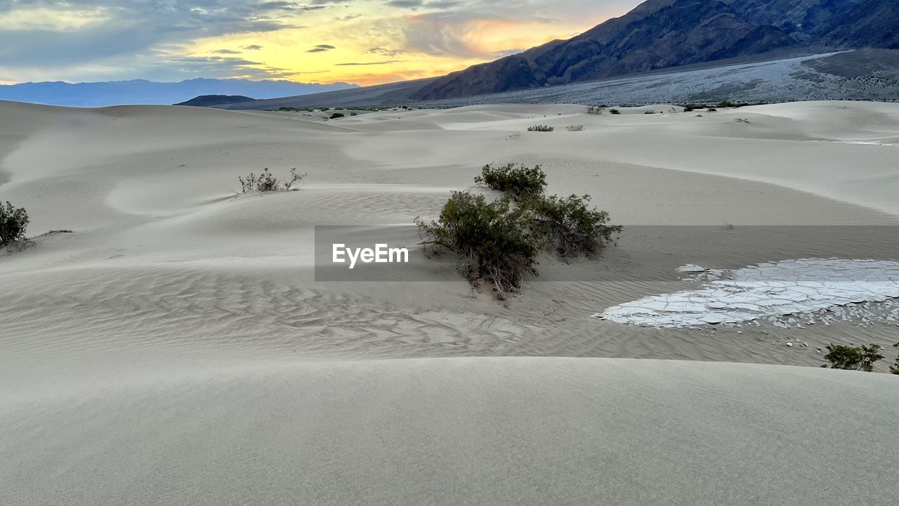 Scenic view of  sand dunes