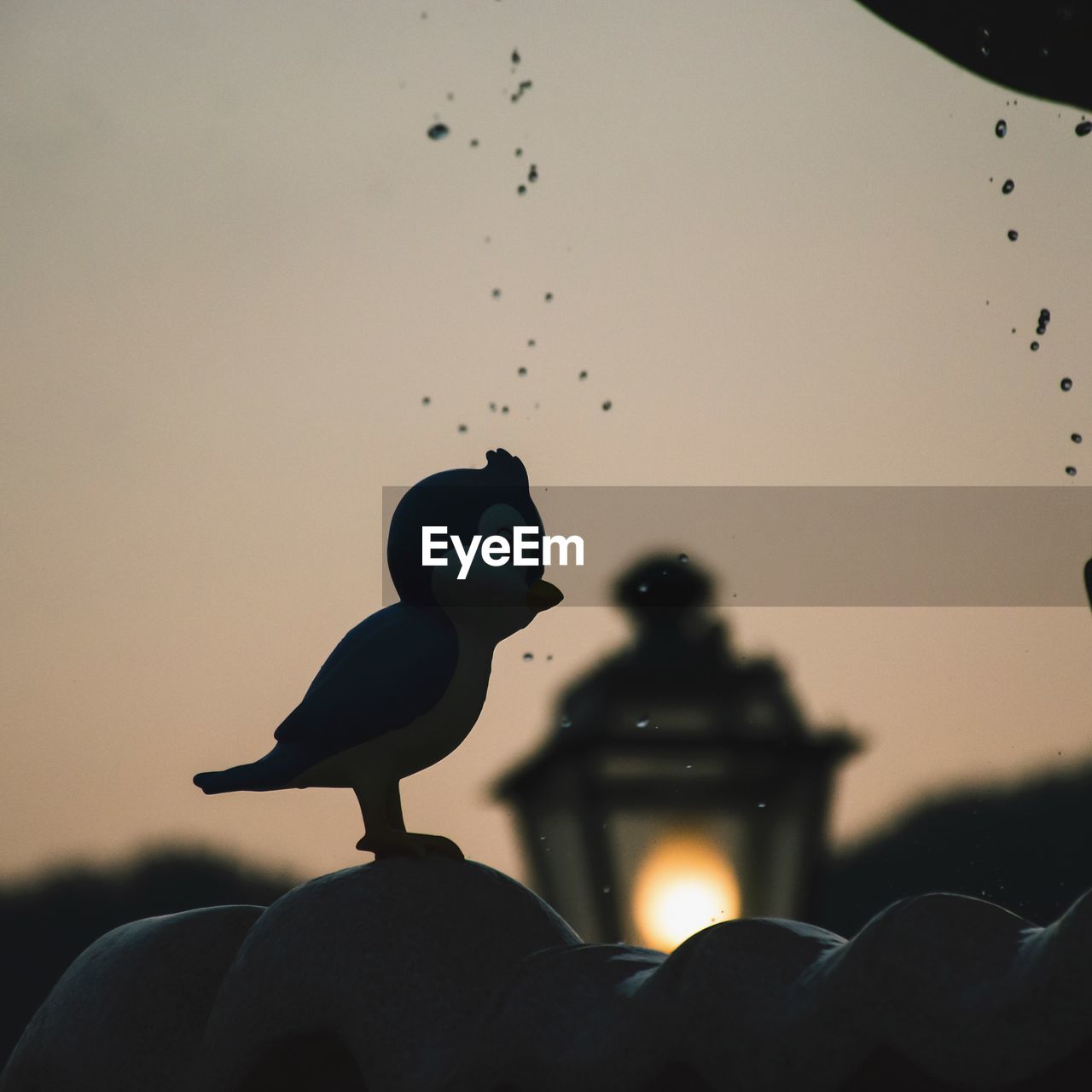 SILHOUETTE OF BIRD AGAINST SKY
