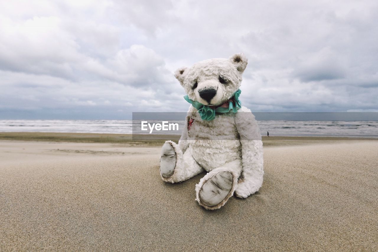 DOG SITTING ON SAND