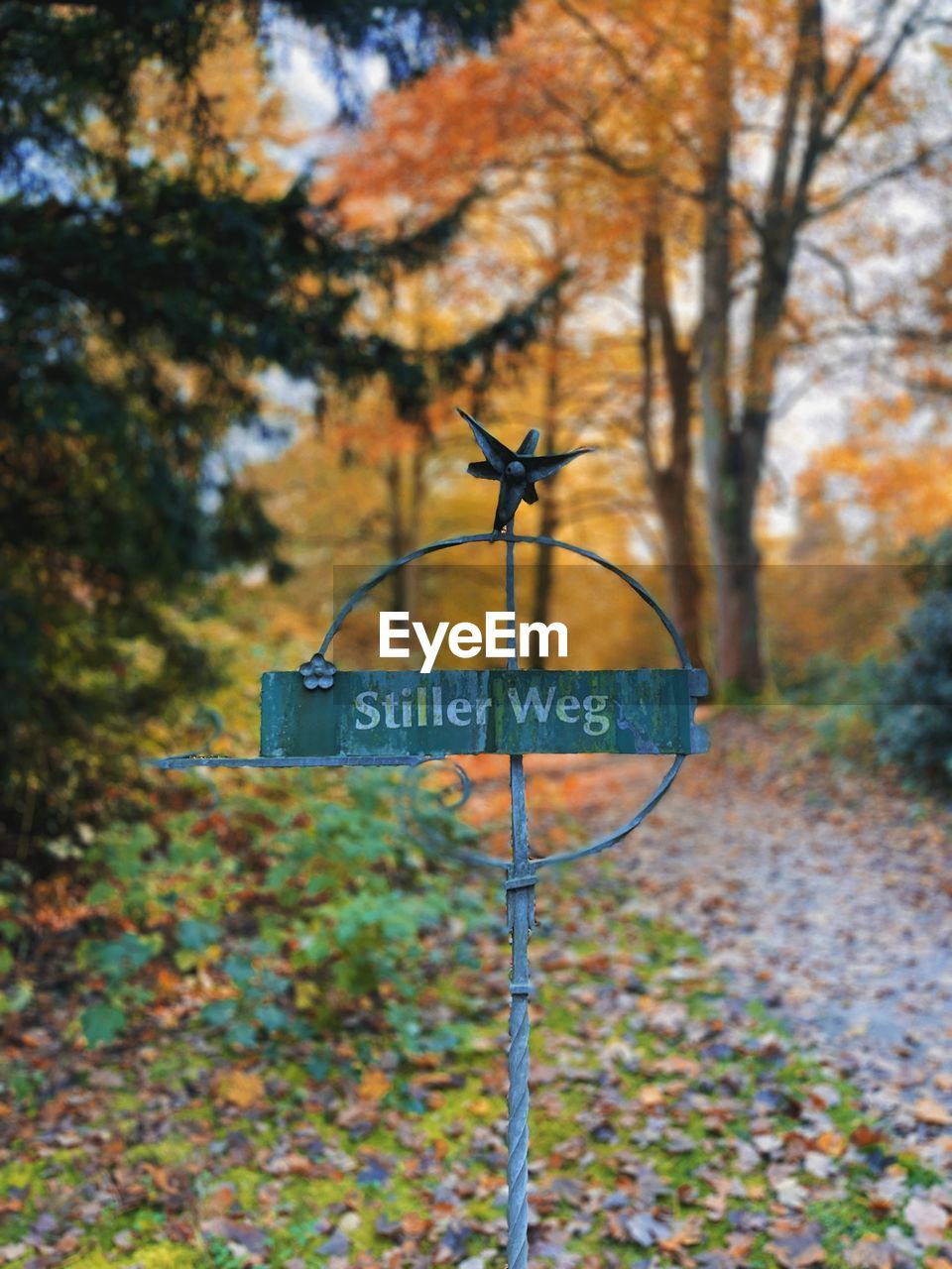 CLOSE-UP OF INFORMATION SIGN ON TREE