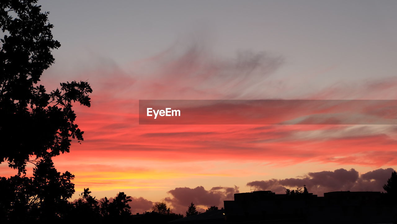 SILHOUETTE TREES AGAINST DRAMATIC SKY DURING SUNSET