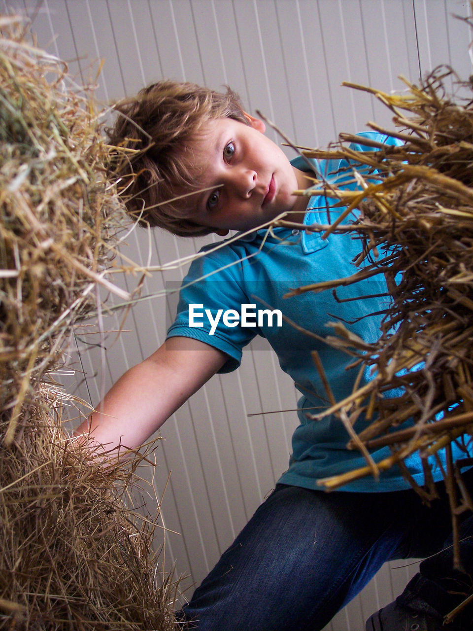 Portrait of cute boy standing by hay