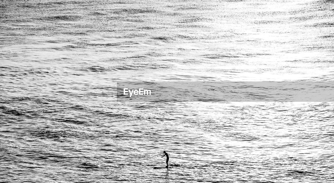 Silhouette man paddleboarding at sea