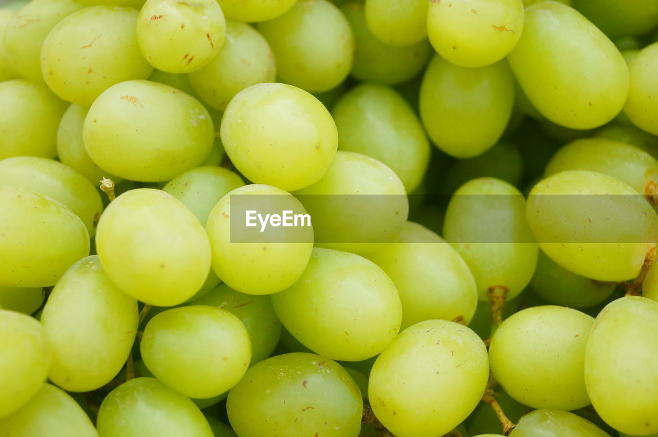 FULL FRAME SHOT OF FRUITS FOR SALE