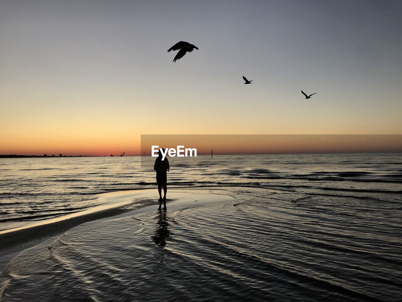 Silhouette woman standing in sea against sky during sunset