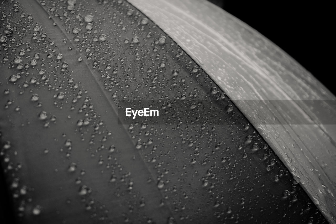 CLOSE-UP OF RAINDROPS ON WINDSHIELD OF CAR
