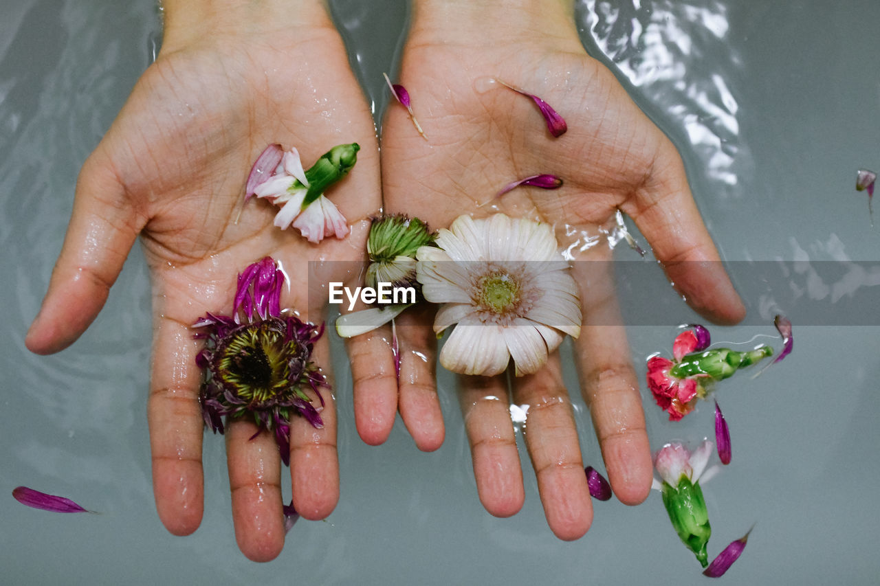 Cropped hands holding flowers in water
