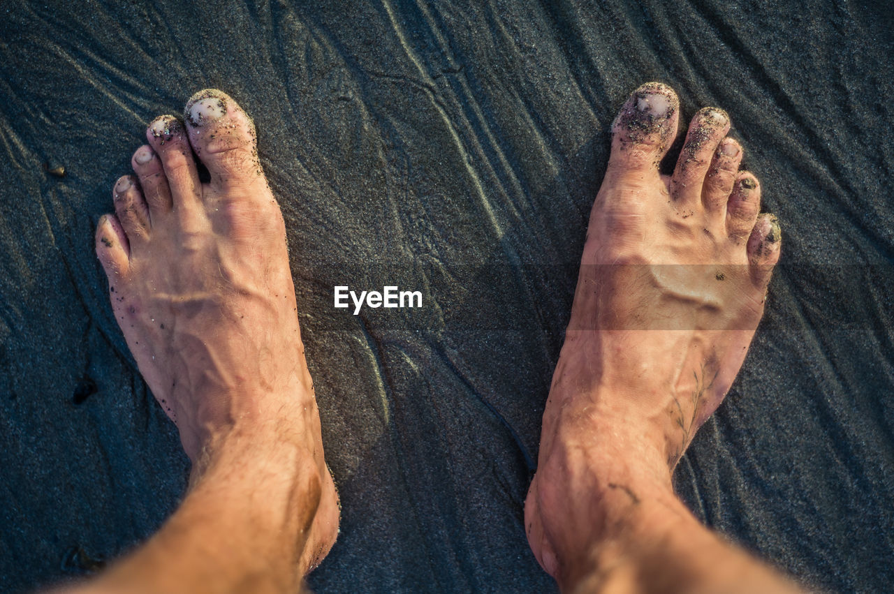 Low section of man standing on wet sand