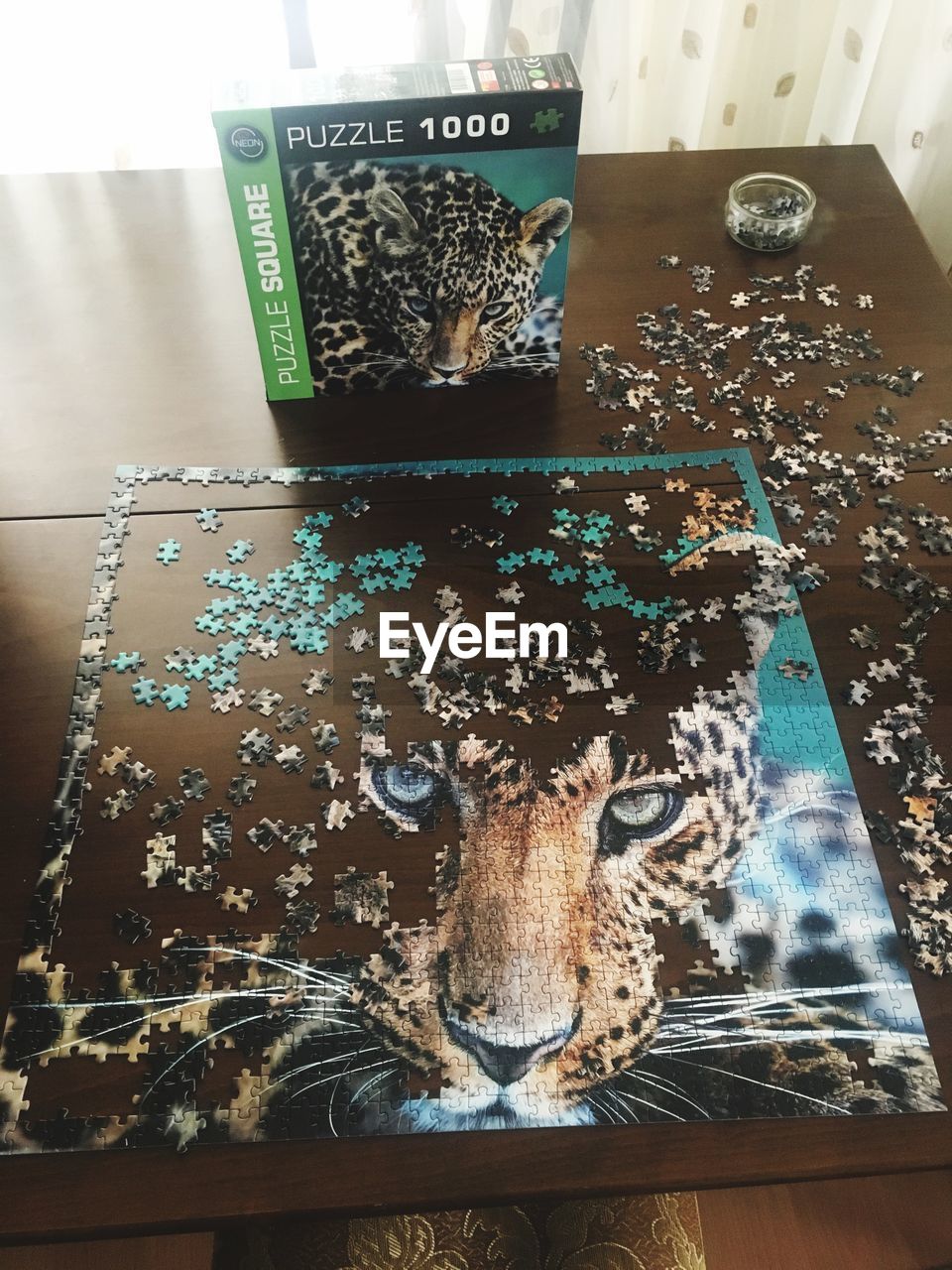 HIGH ANGLE VIEW OF CAT ON THE TABLE