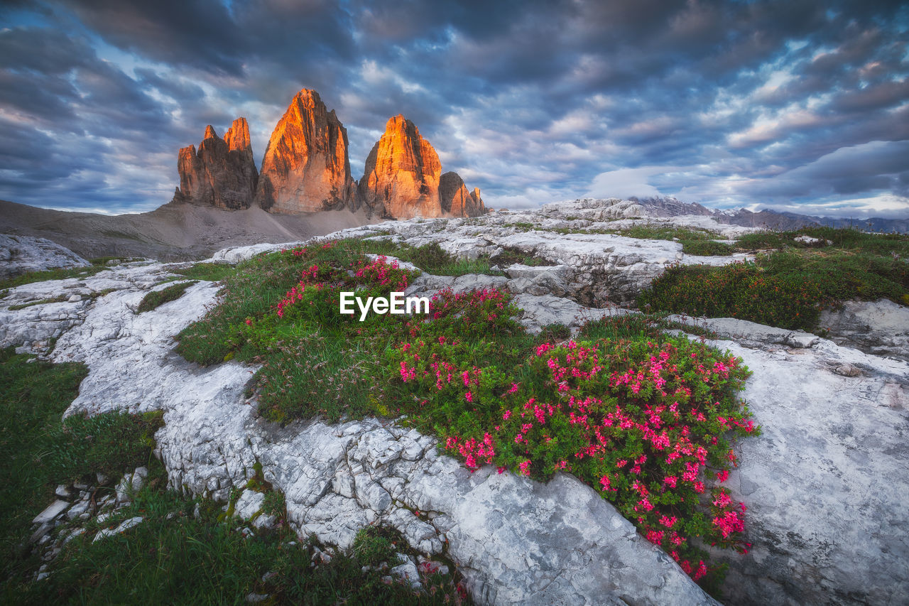 Moody landscape with dolomite mountains and tre cime in perfect sunset light.