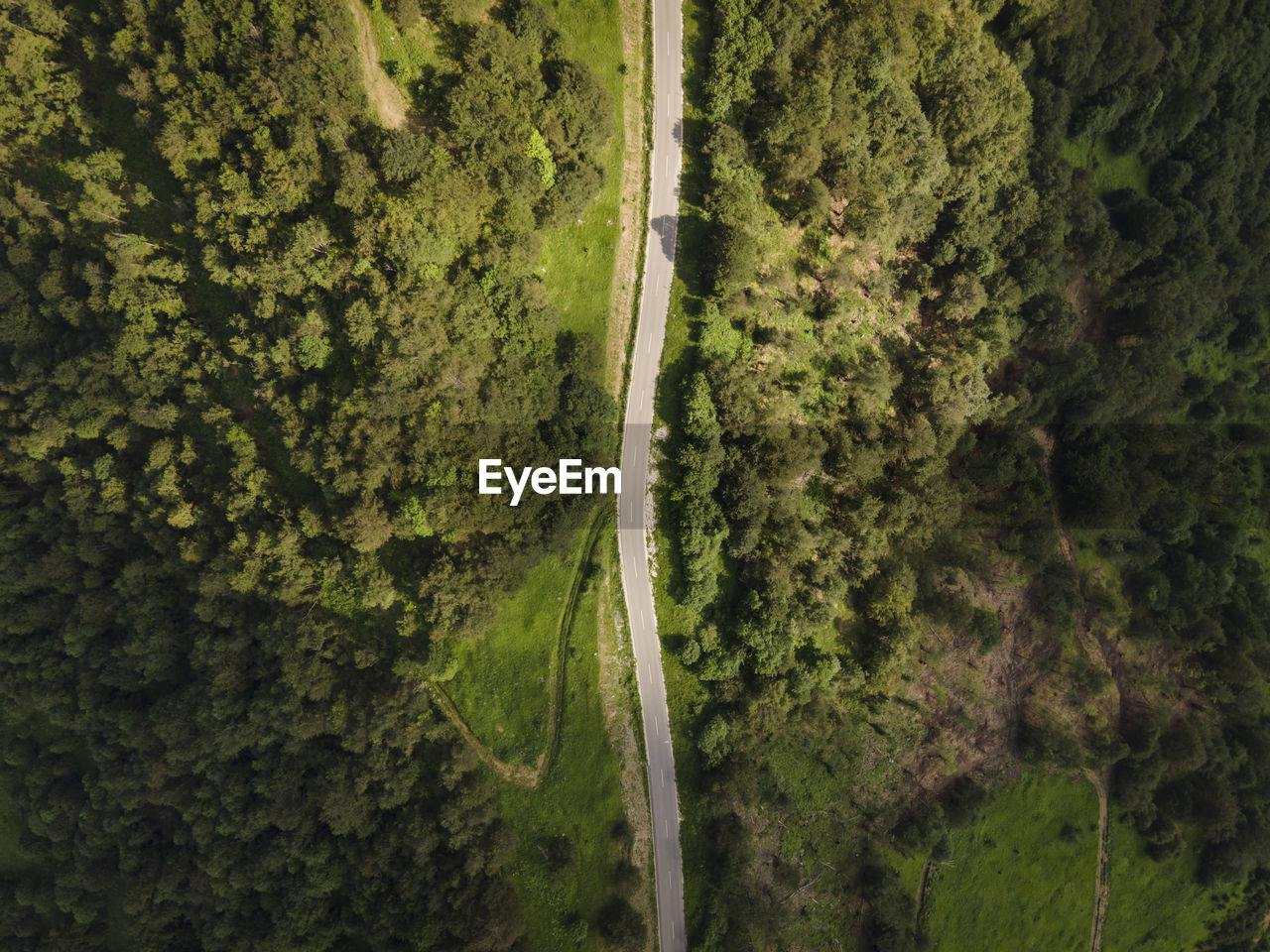 High angle view of road amidst trees in forest