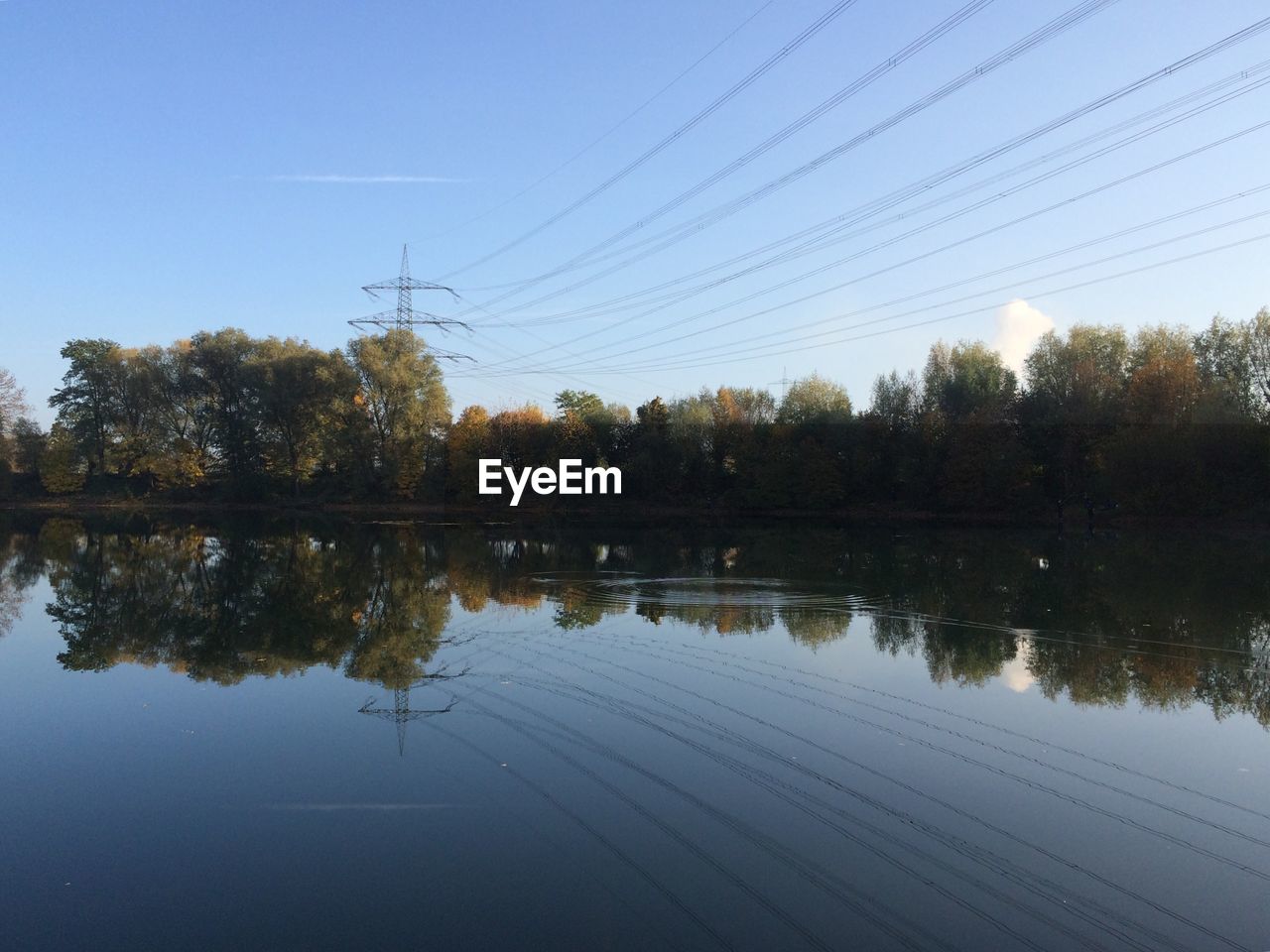 Reflection of trees in calm lake